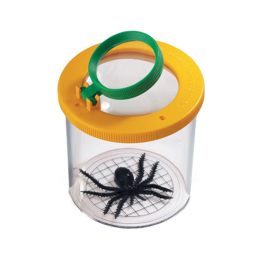 vaso lupa para la observacin de insectos