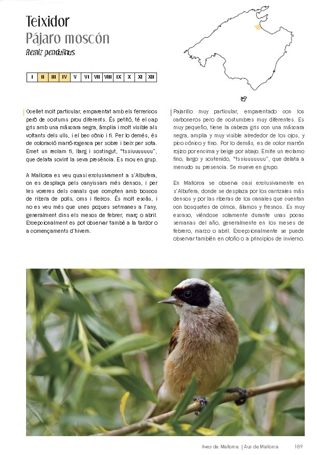 aus/aves de mallorca. on i quan observar-les / dnde y cundo observarlas