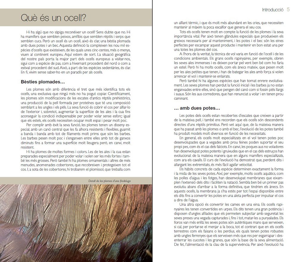 els ocells. conixer la natura amb jaume sa