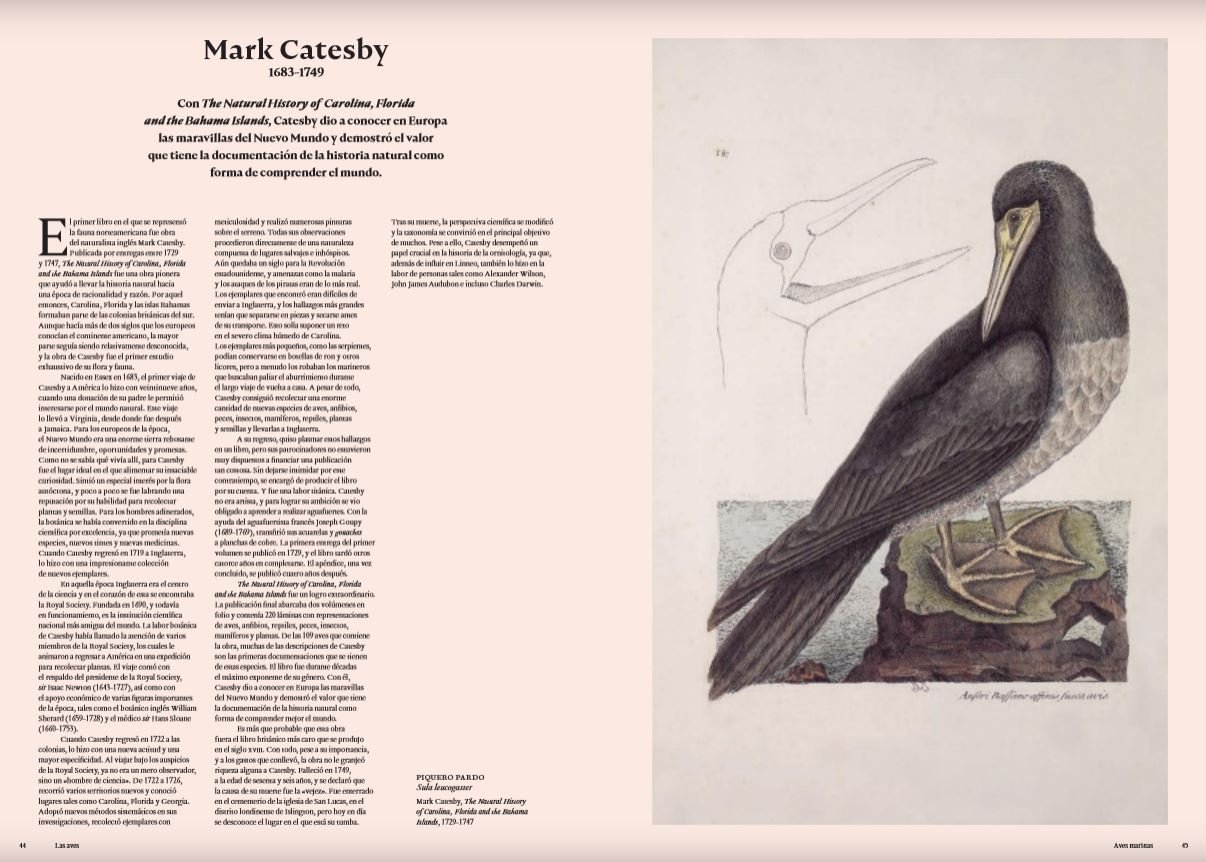 las aves. la edad de oro de la ilustracin de las aves
