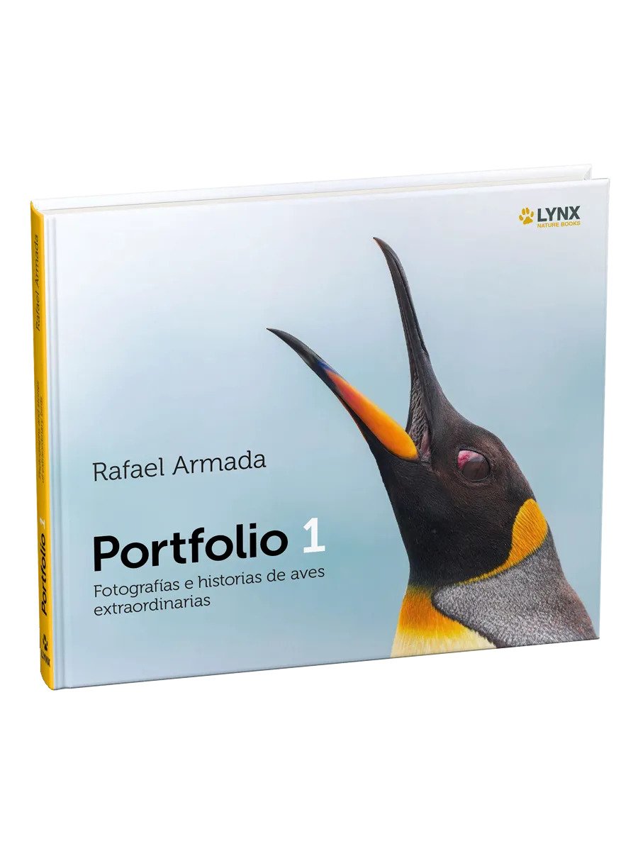 portfolio 1- fotografas e historias de aves extraordinarias
