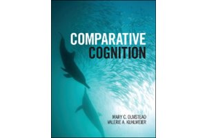 comportamiento y evolucin