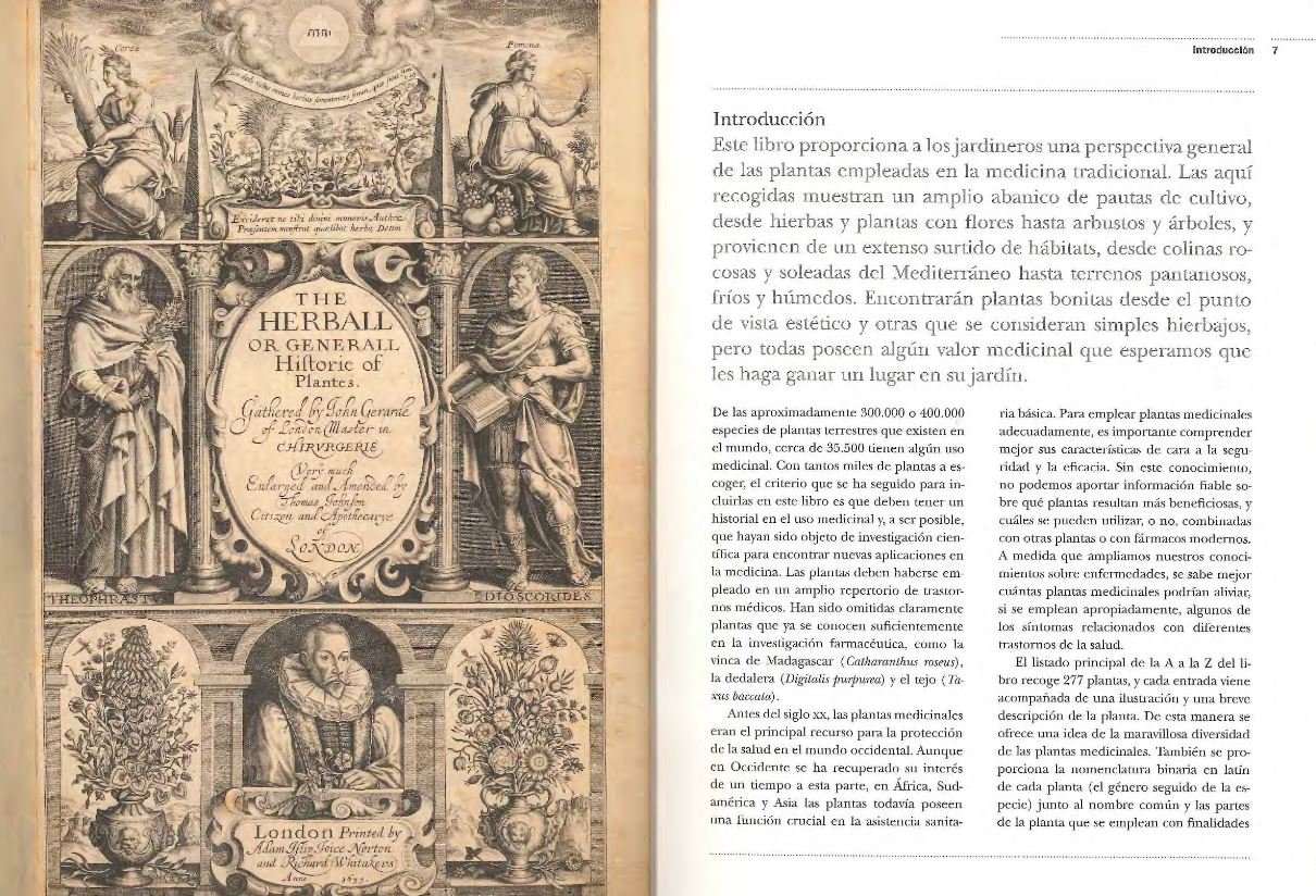 gua del jardn sobre plantas medicinales. remedios caseros y plantas curativas de la a a la z