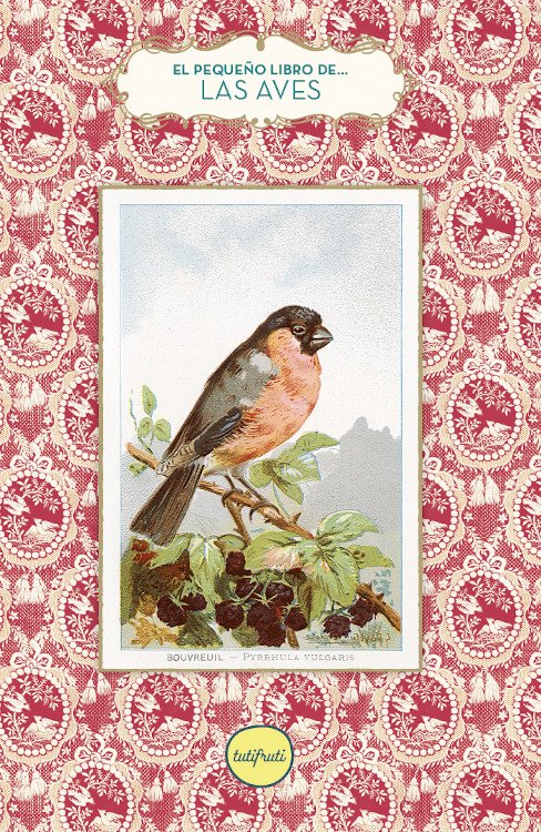 el pequeo libro de las aves