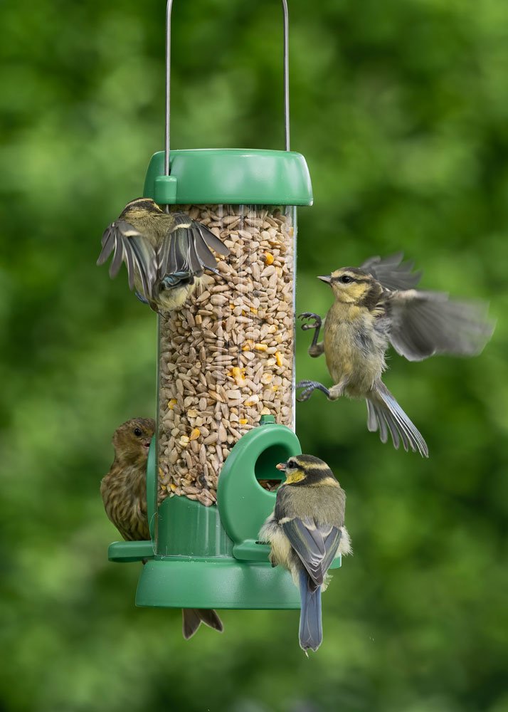 bl2-s1g "bird lovers" comedero tubular para aves silvestres pequeo para mezcla de semillas fcil de limpiar