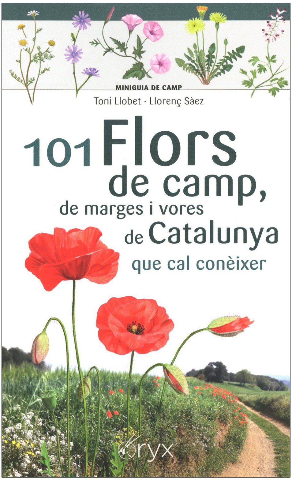 101 flors de camp, de marges i vores de catalunya que cal conixer. miniguia de camp