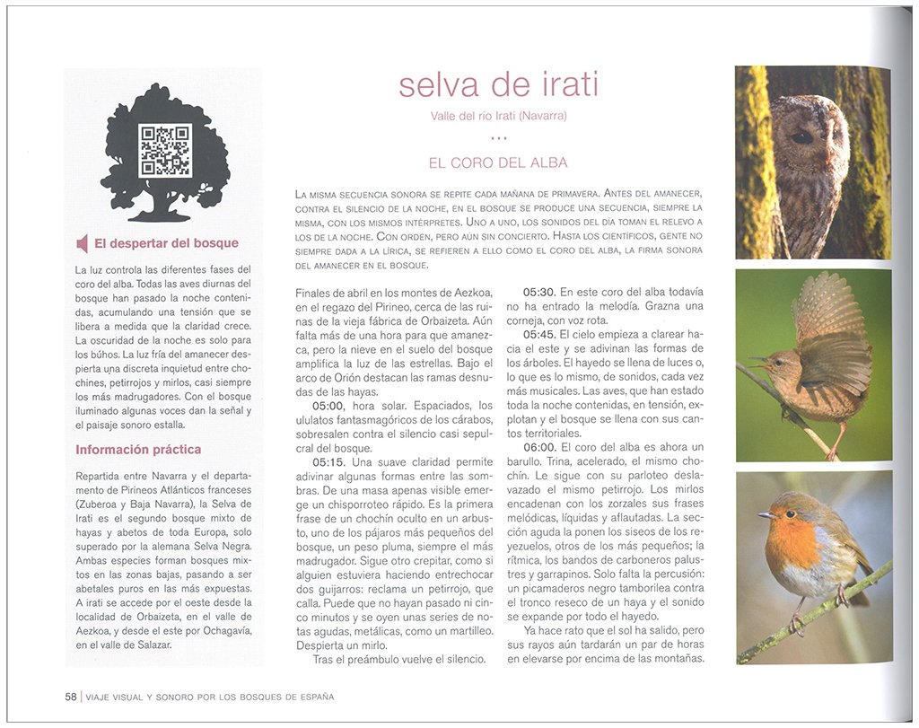 viaje visual y sonoro por los bosques de espaa