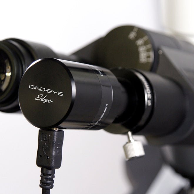 dino-lite cmara digital para ocular para todo tipo de microscopios am4025x