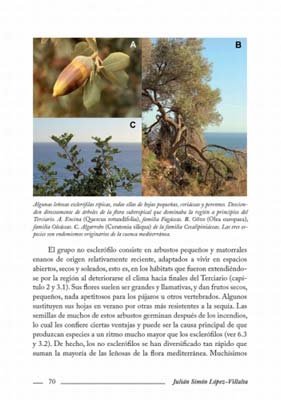 el monte mediterrneo. una gua para naturalistas