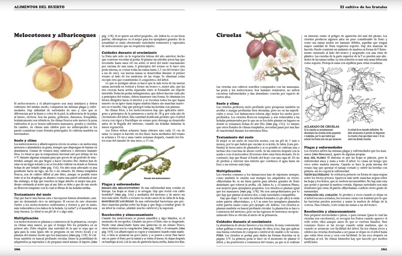 gua prctica ilustrada el horticultor autosuficiente y la vida en el campo