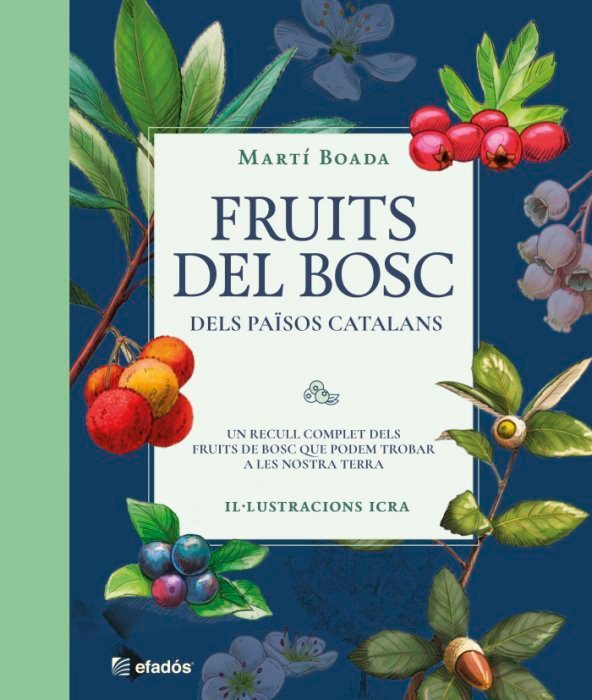 fruits del bosc, dels pasos catalans