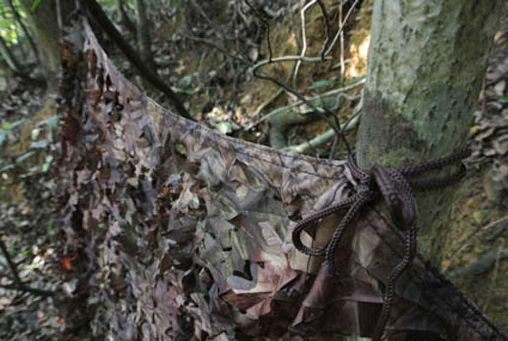 tragopan lmina recortada de camuflaje 3x3 m color nieve/camo