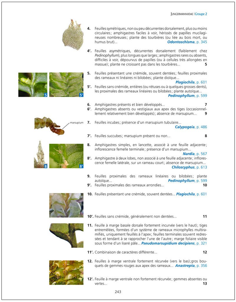 les bryophytes de france tome 1. anthocrotes et hpatiques