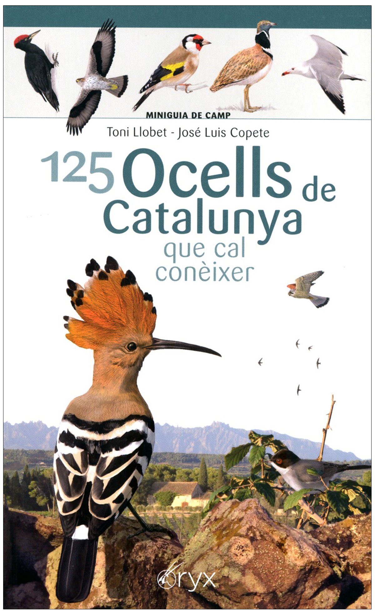 125 ocells de catalunya que cal conixer. miniguia de camp