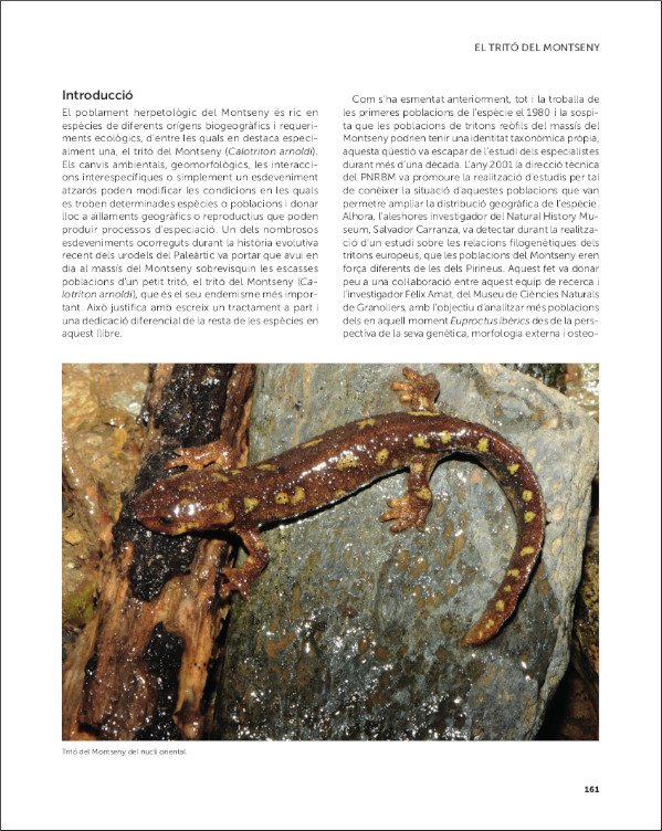 el trit del montseny i els amfibis i rptils del parc natural i la reserva de la biosfera del montseny