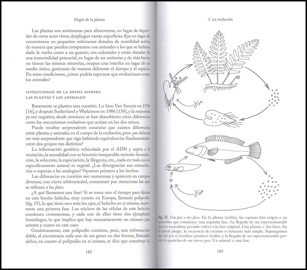 elogio de la planta. por una nueva biologa