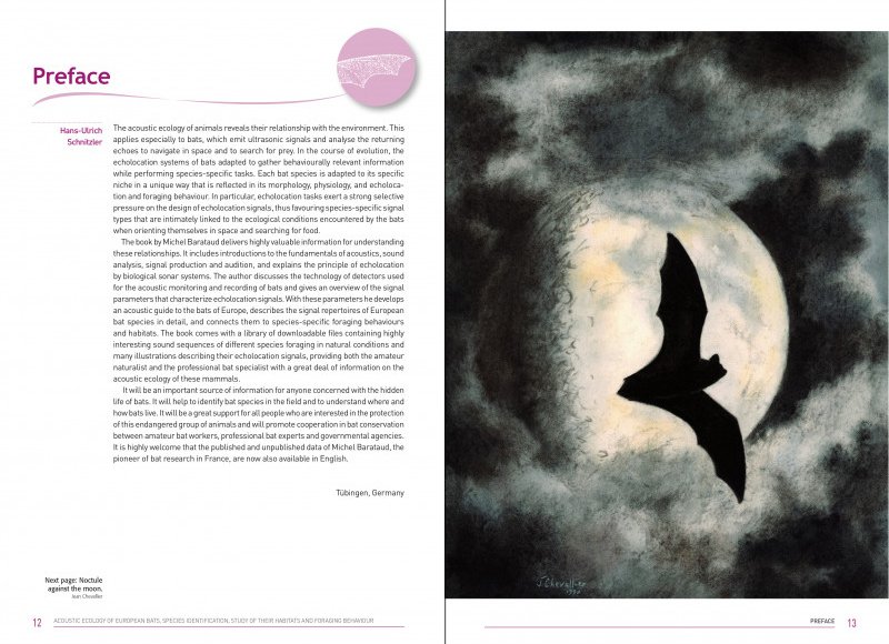 acoustic ecology of european bats. species identification, study of their habitats and foraging behaviour