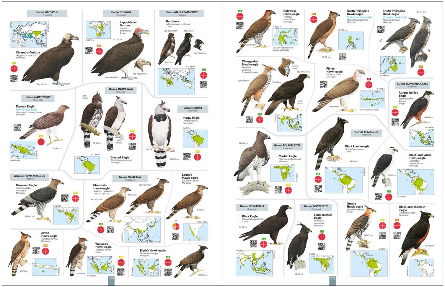 all the birds of the world