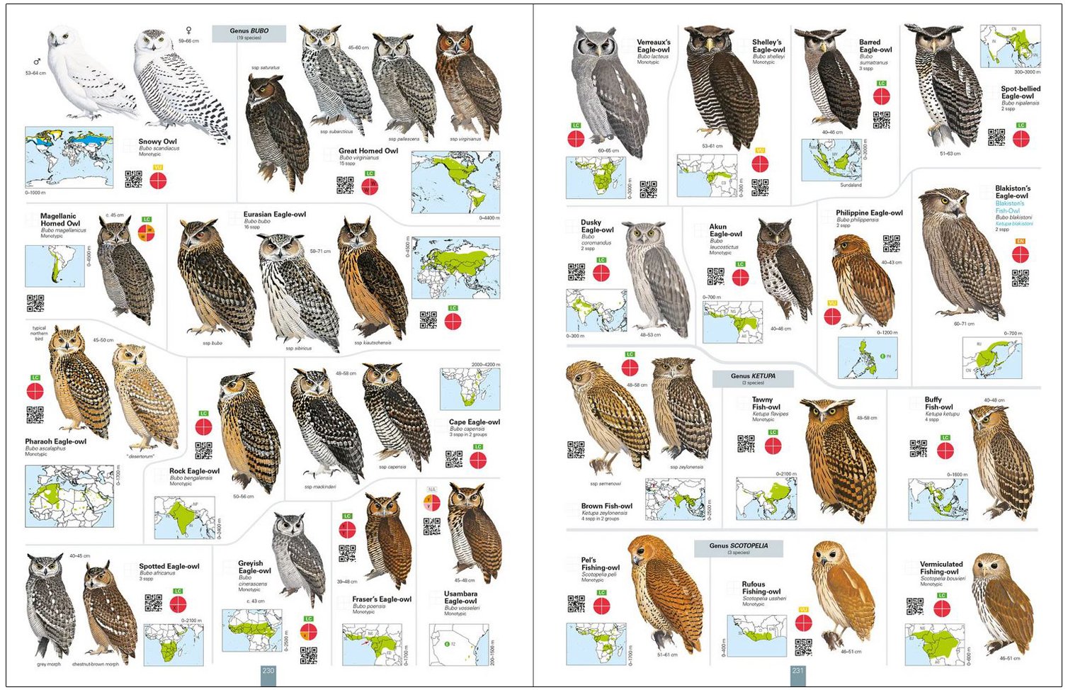 all the birds of the world