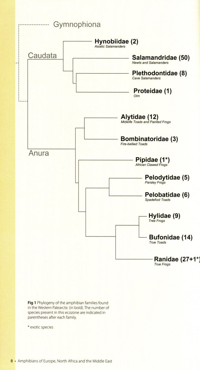 amphibians of europe, north africa & the middle east. a photographic guide
