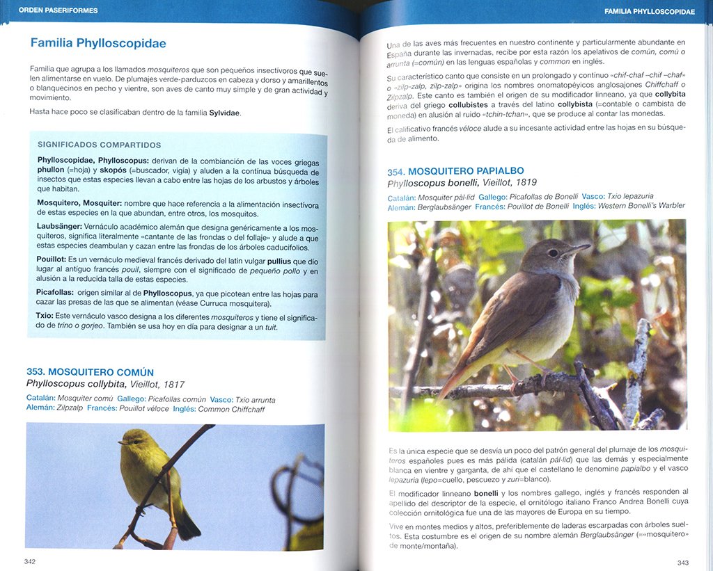 avetimologia. el origen de los nombres de las aves de europa
