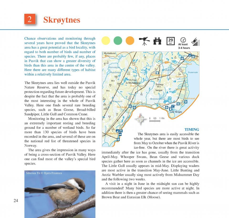 birding across the border