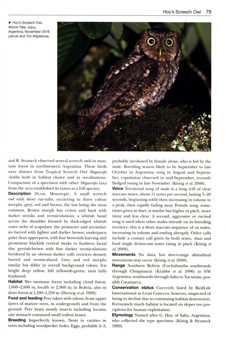 birds new to science: 50 years of avian discoveries