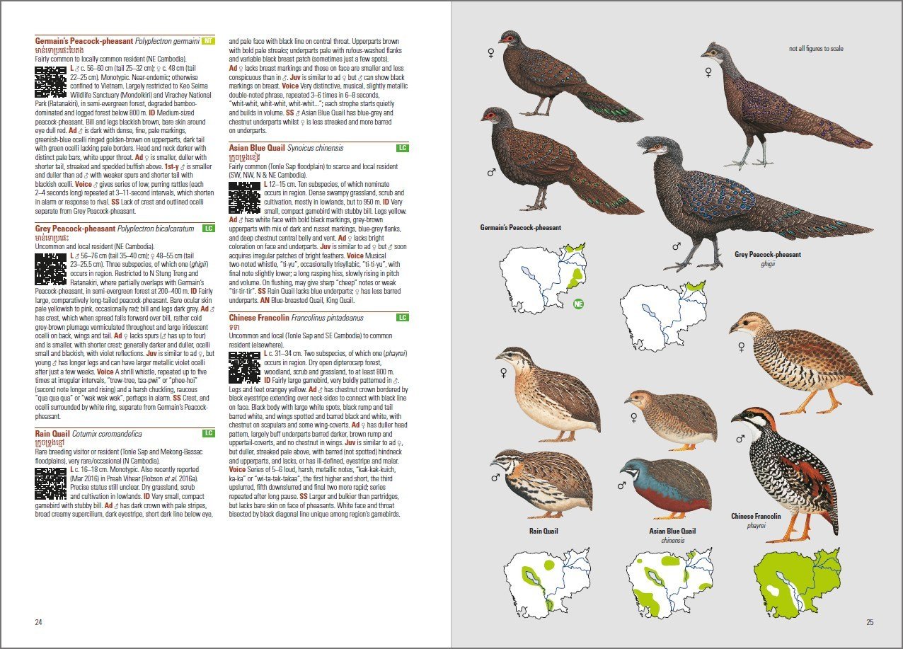 birds of cambodia