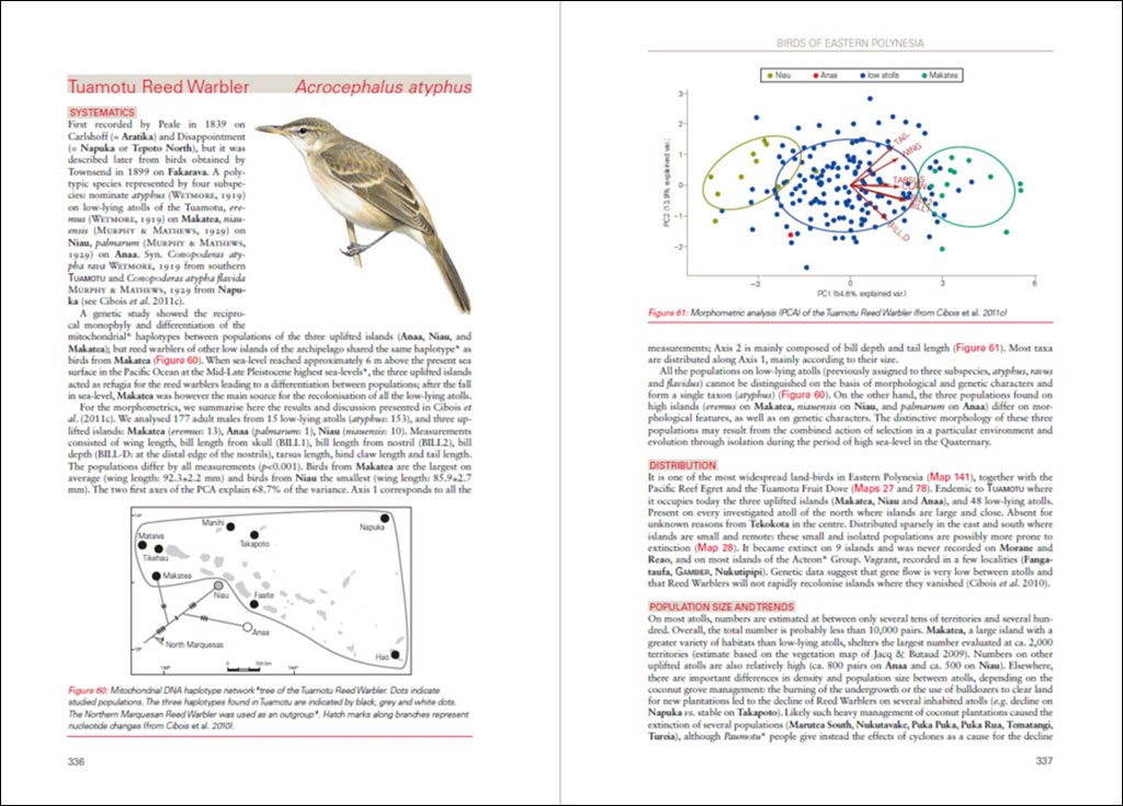 birds of eastern polynesia. a biogeographic atlas