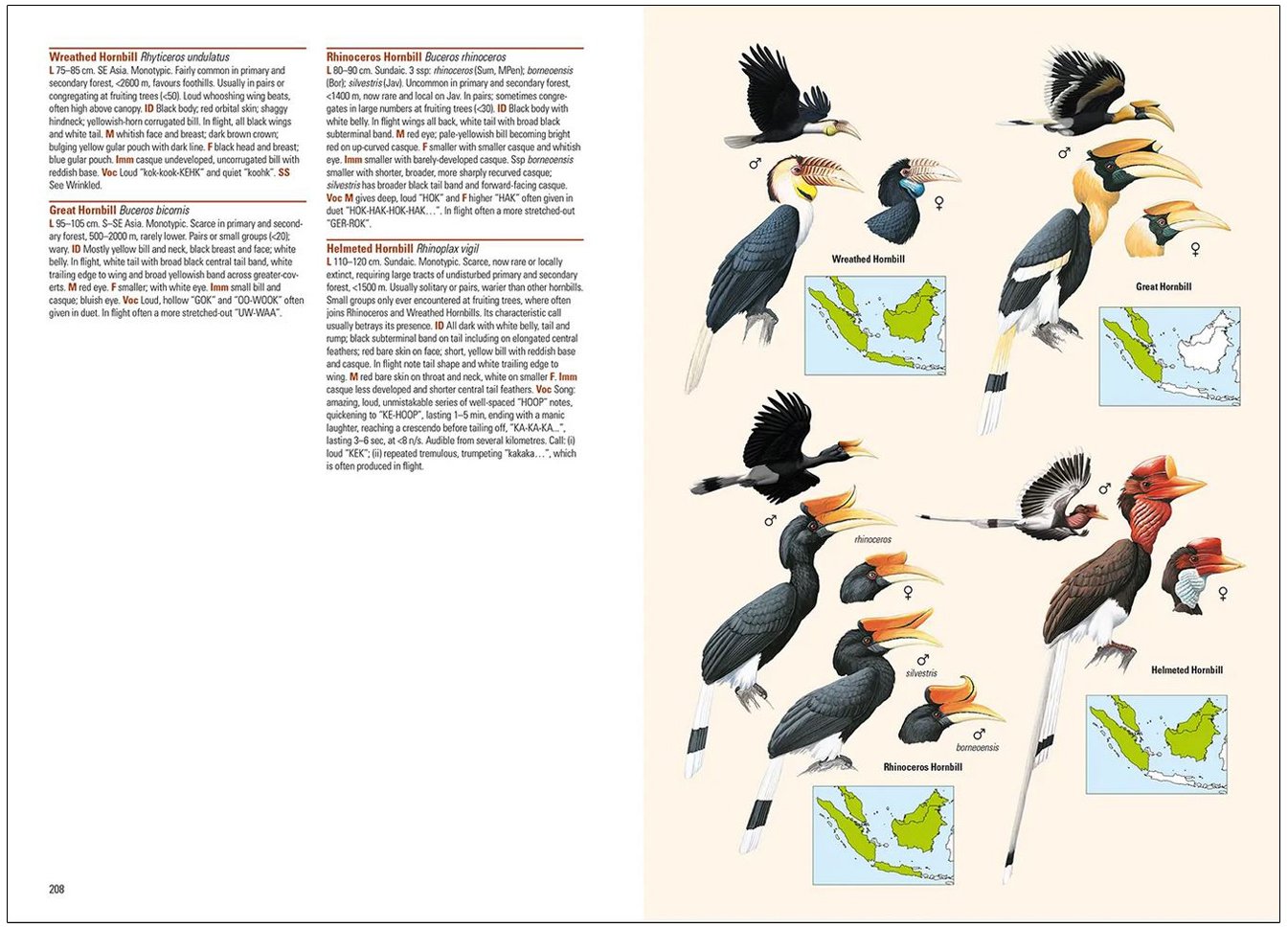 birds of the indonesian archipelago. greater sundas and wallacea