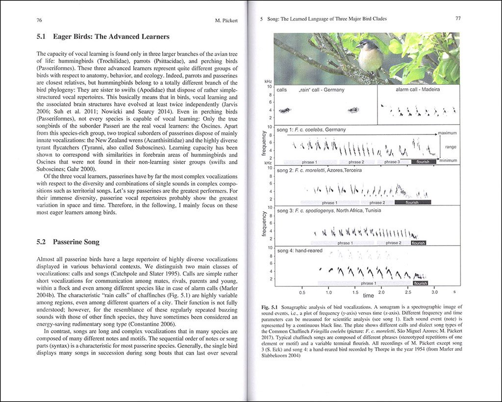 bird species. how they arise, modify and vanish