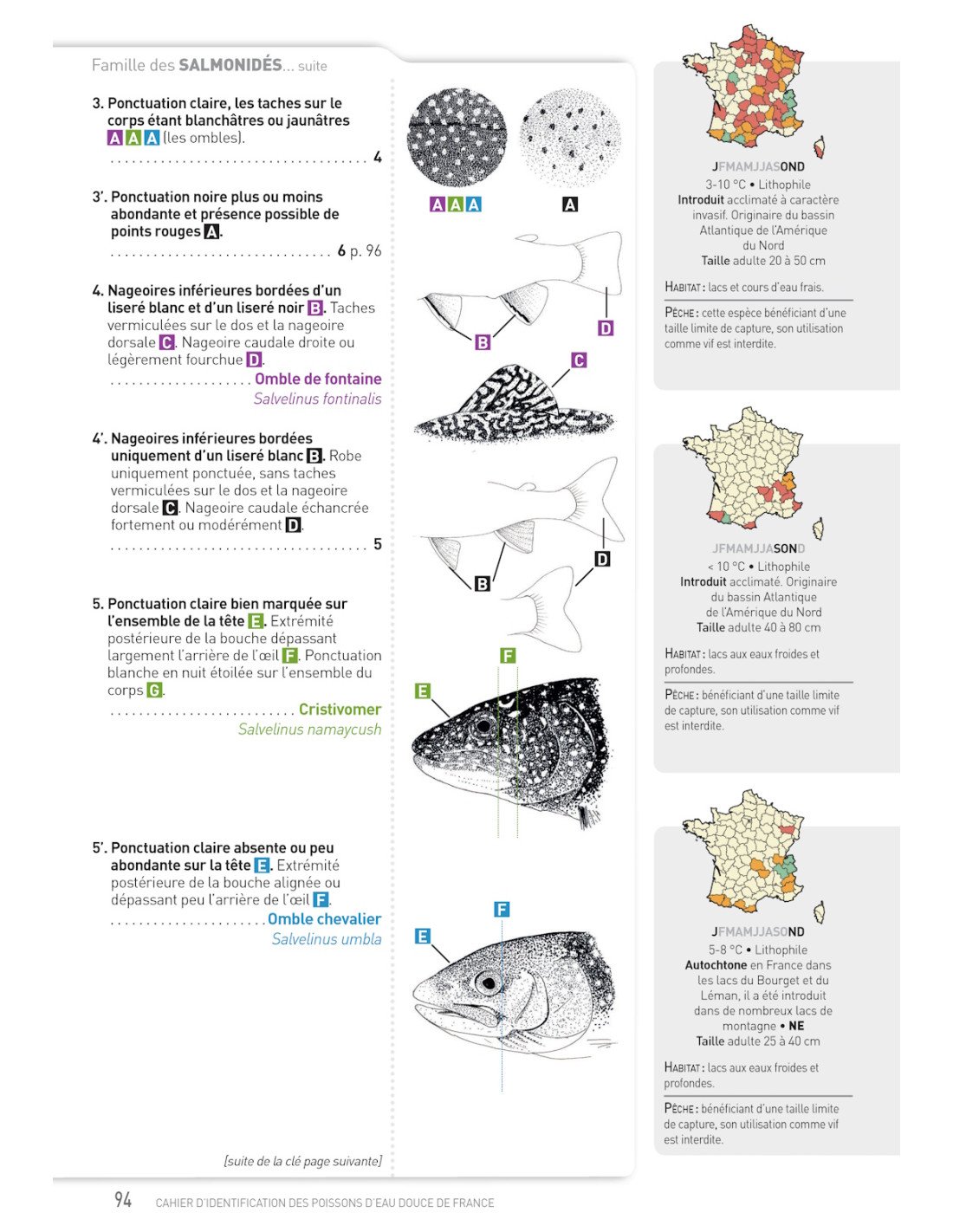 cahier d'identification des poissons d'eau douce de france