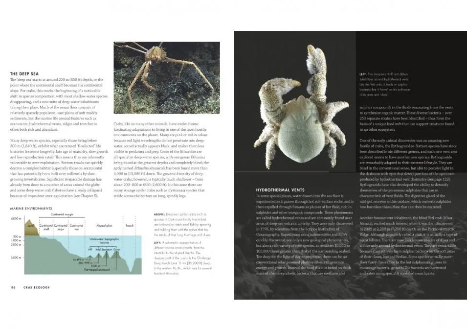 crabs. a global natural history