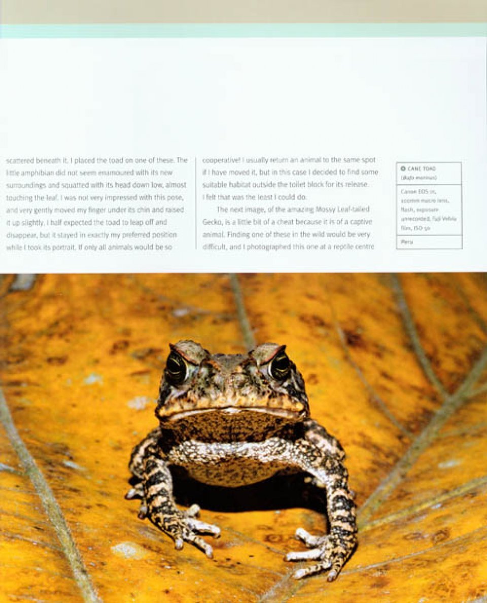 creative nature photography