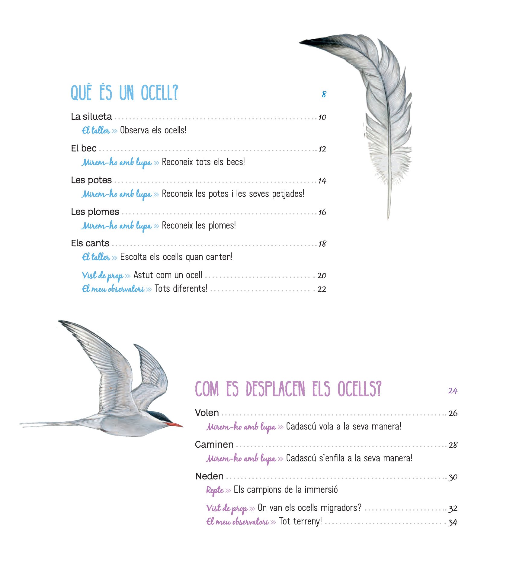el llibre dels ocells