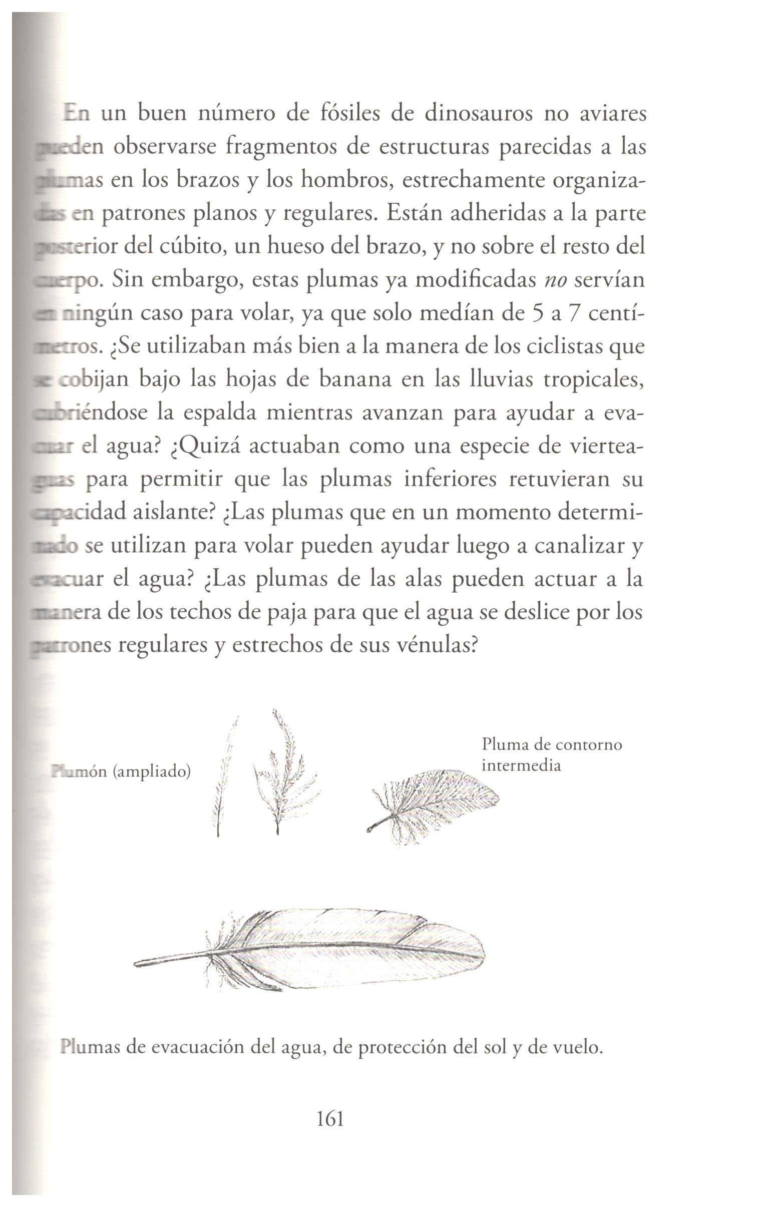 el mundo en invierno. el ingenio de la supervivencia animal