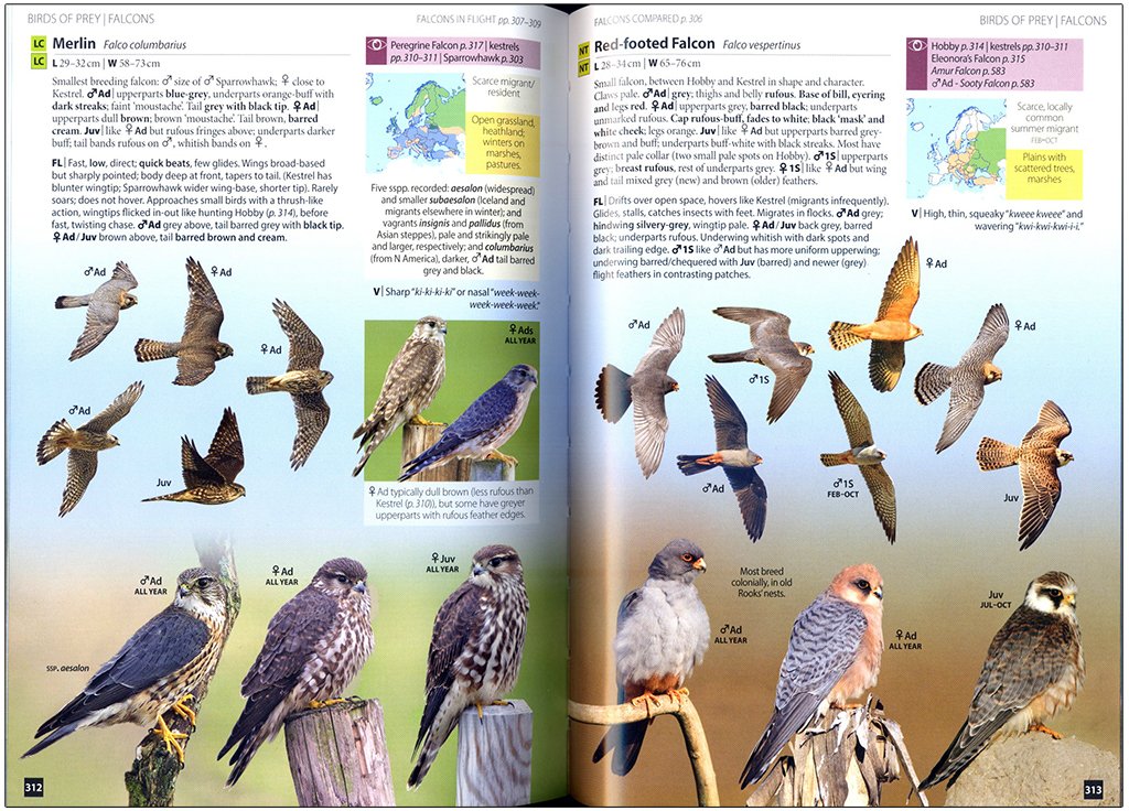 europe's birds. an identification guide