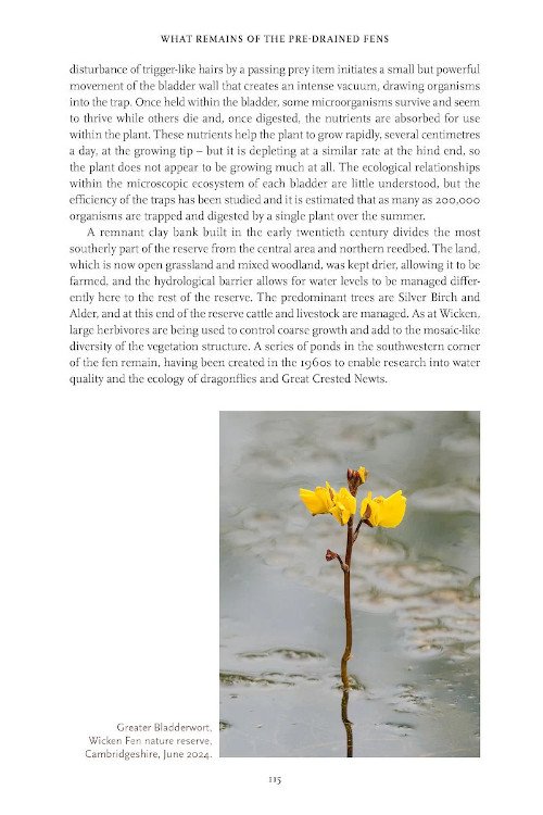 fenland nature