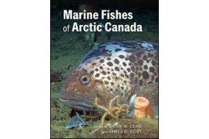 fishes of north america