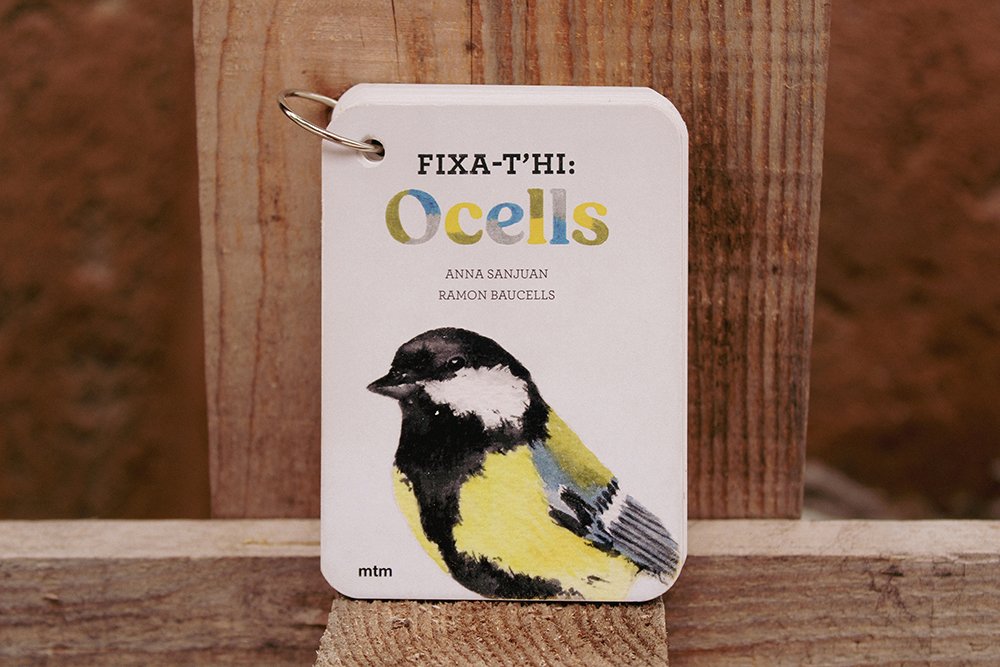 fixa-t'hi ocells