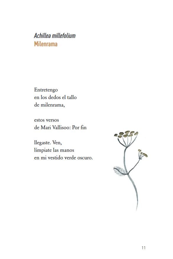 flores