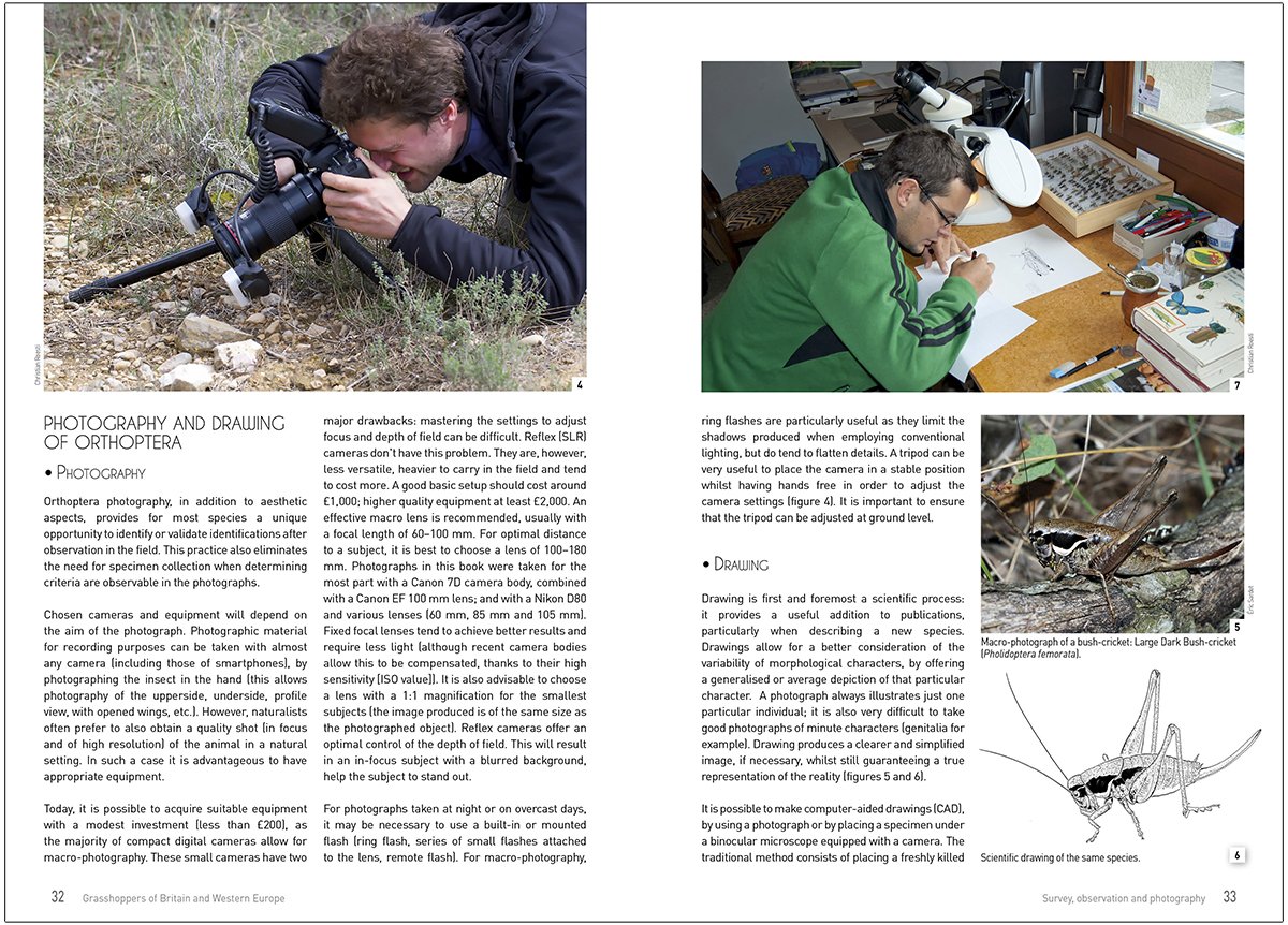 grasshoppers of britain and western europe. a photographic guide