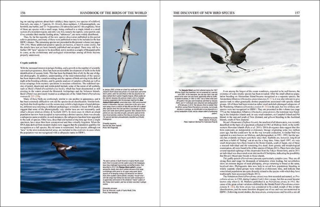 handbook of the birds of the world. special volume: new species and global index