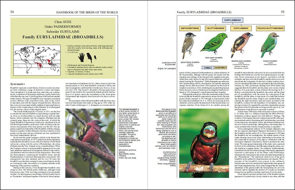 handbook of the birds of the world, vol. 8. broadbills to tapaculos