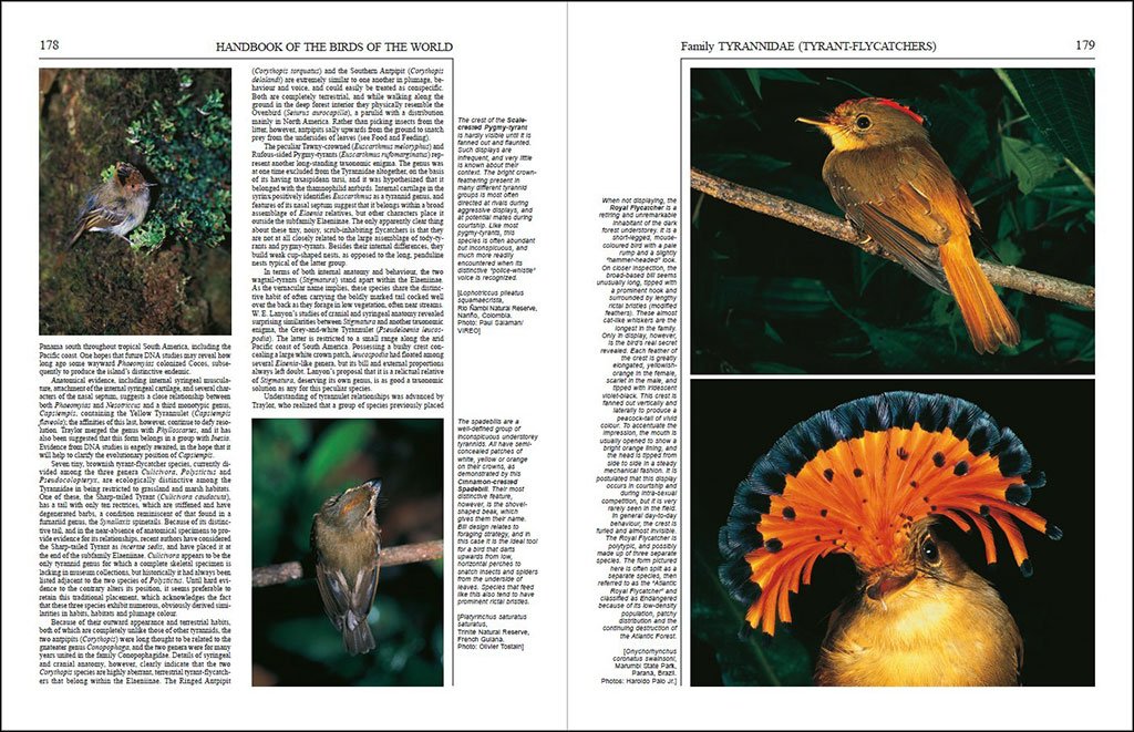 handbook of the birds of the world, vol. 9. cotingas to pipits and wagtails