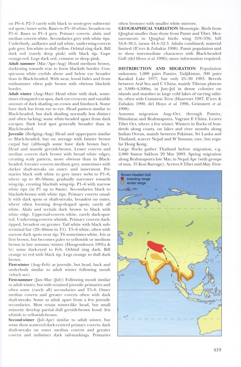 helm identification guides. gulls of europe, asia & north america
