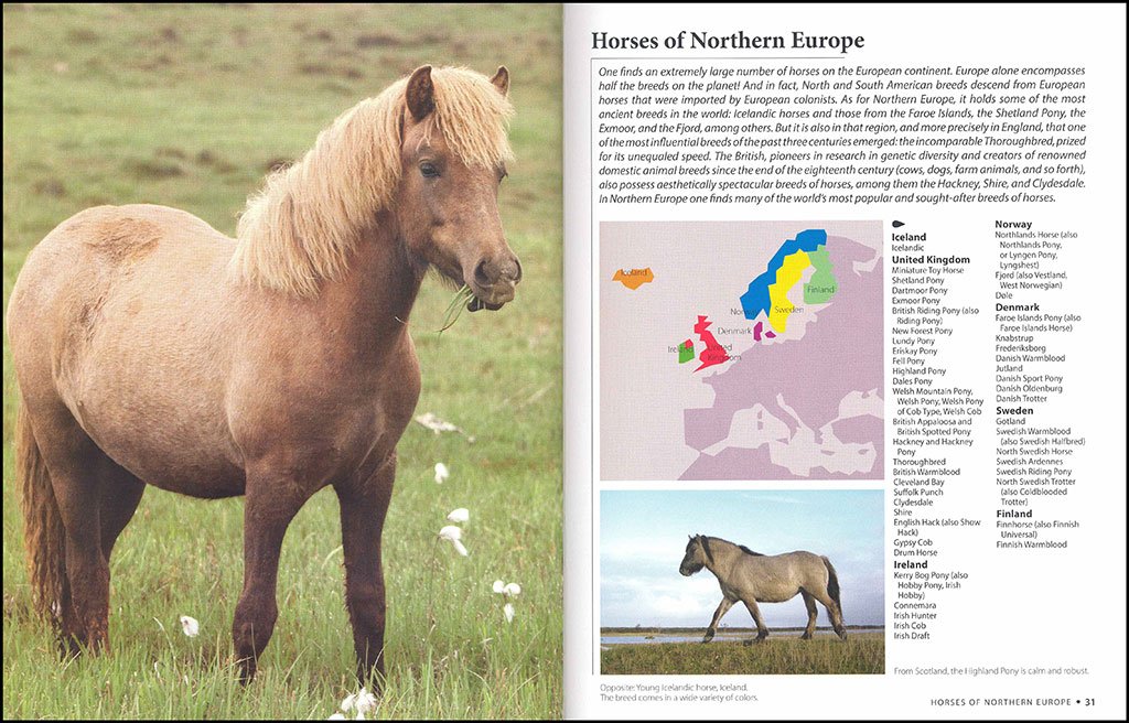 horses of the world