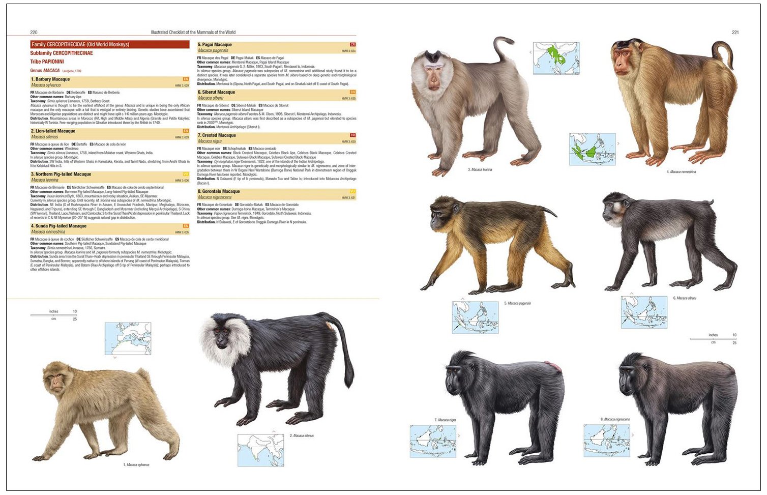 illustrated checklist of the mammals of the world