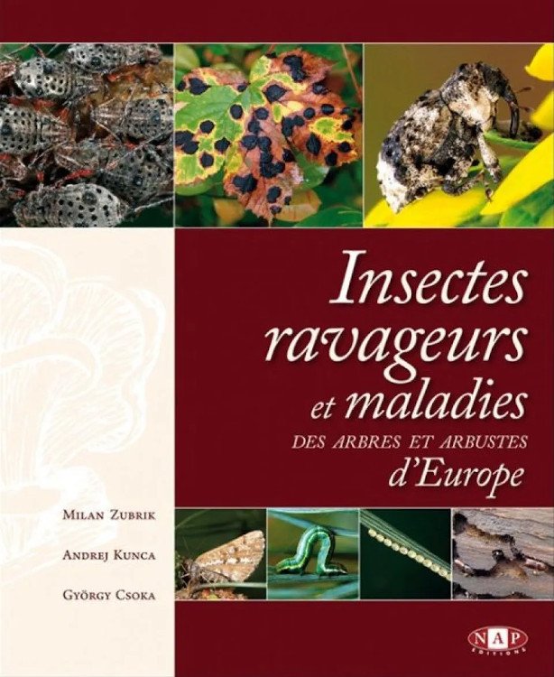 insectes ravageurs et maladies des arbres et arbustes d'europe