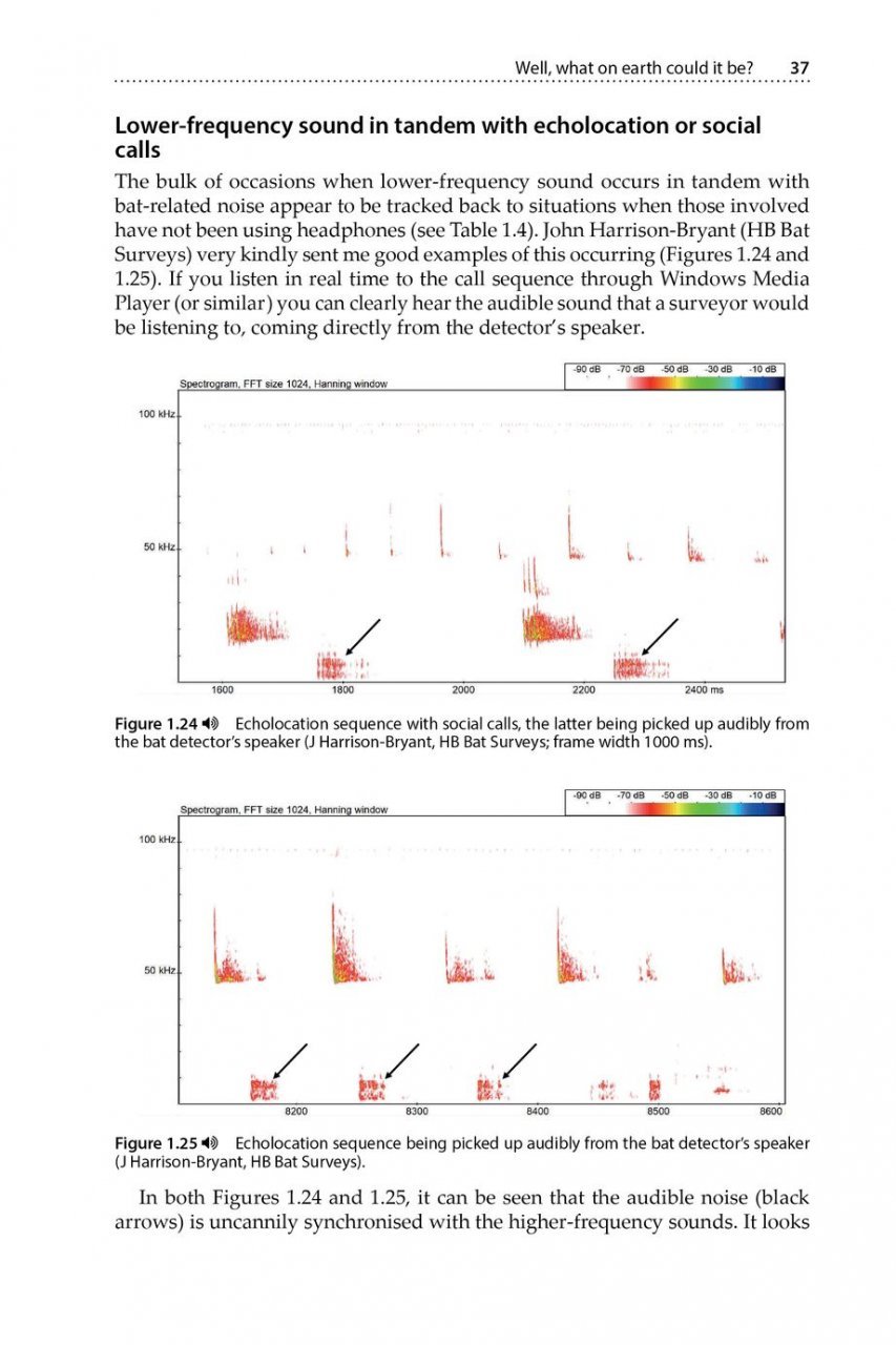 is that a bat?: a guide to non-bat sounds encountered during bat surveys